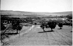 TABIA 1960 VUE SUR LE VILLAGE